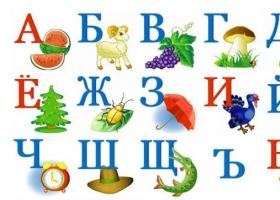 Как быстро выучить правила по русскому языку самостоятельно?